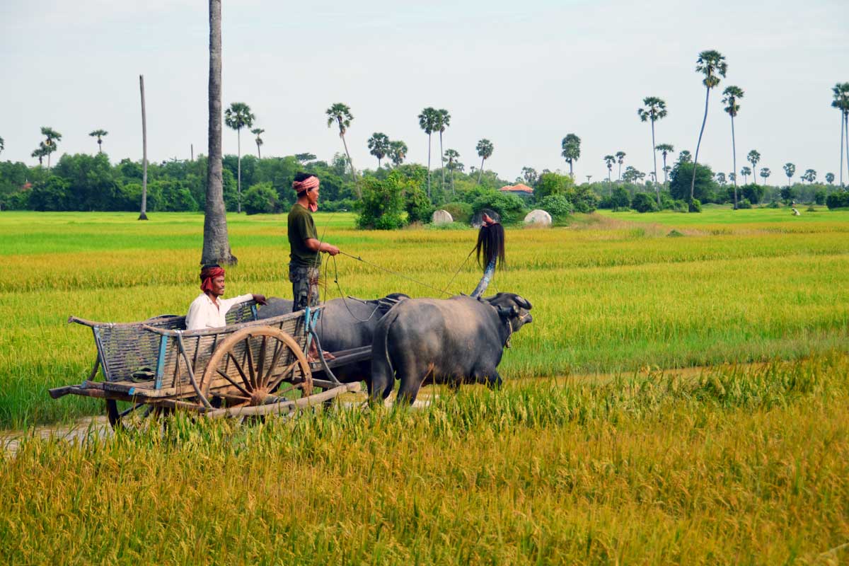 Banteay Meanchey Economy